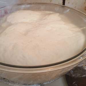 bread-dough-first-rise