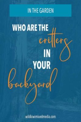 pinterest pin who are the critters in myback yard post